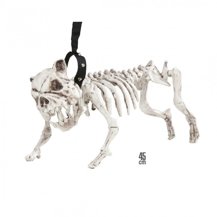 Hundeskelett mit Leine Skelett Deko Hund 45 cm Knochen