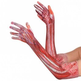 Halloween Anatomie Handschuhe Unterarm Mensch