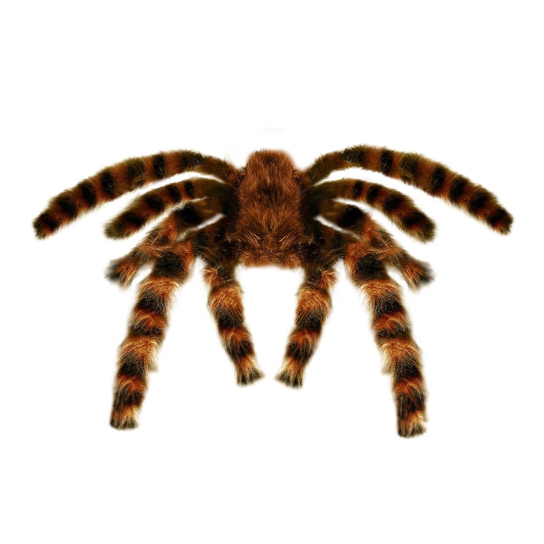 Kinder Hexenbesen Halloween Hexenbesen, Abnehmbare Besen Requisiten,  Hexenbesen Kinder, image size:1100x1100