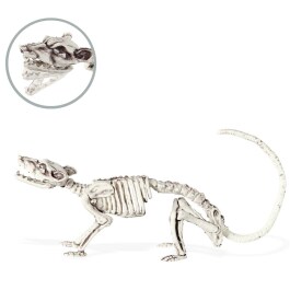 Skelett Deko Ratte Gruseliges Rattenskelett 38 cm