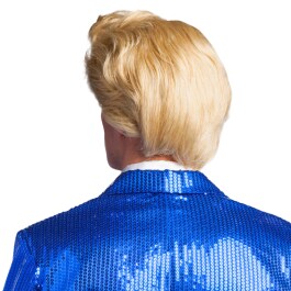 Donald Herrenperücke  Schlagerstar Perücke blond