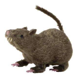 Gruselige Horror Ratte Halloween Deko Maus 21 cm