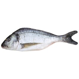 Origineller Stofftier-Fisch Silber 55cm
