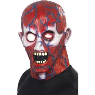 Anatomie Maske Horrormaske rot