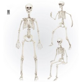 Deko Skelett 90 cm
