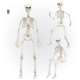 Deko Skelett 90 cm
