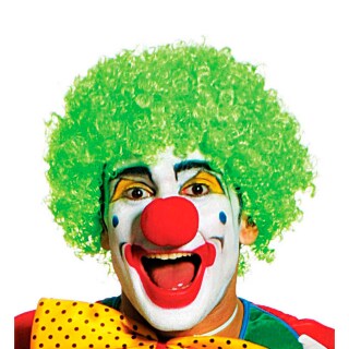 Gr&uuml;ne Clown Per&uuml;cke Narr Harlekin Karneval