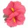 Hibiskus Haarspange Blumen Kopfschmuck Hawaii rosa