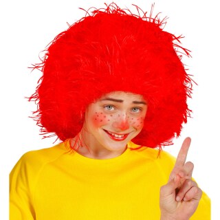 Wuschel Kinder Clown Perücke Pumuckel rot