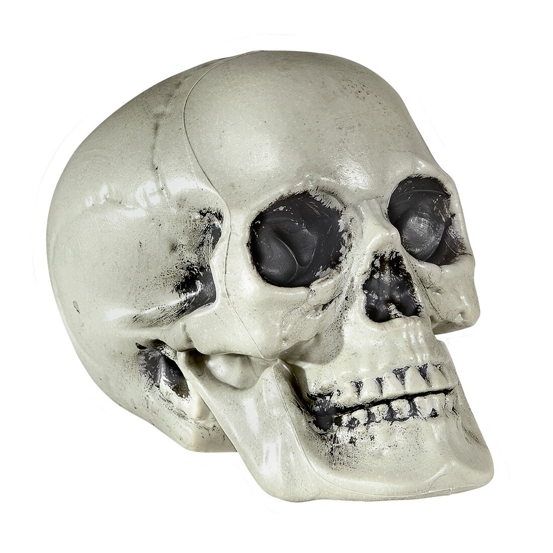 Totenkopf Deko Totenschädel Skelett Kopf Schädel 21 cm Halloween Fens, 11,95  €