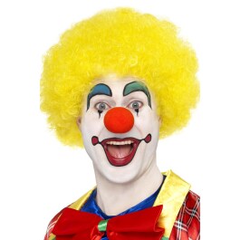 Clown Perücke Afroperücke